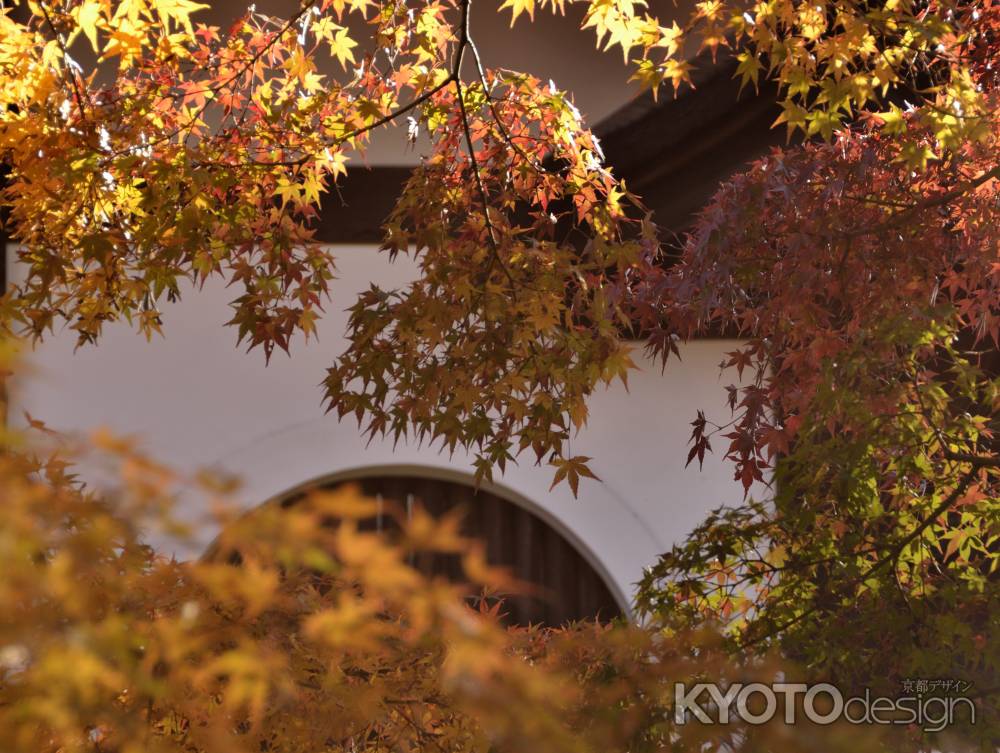 東福寺・紅葉２０１３（３）