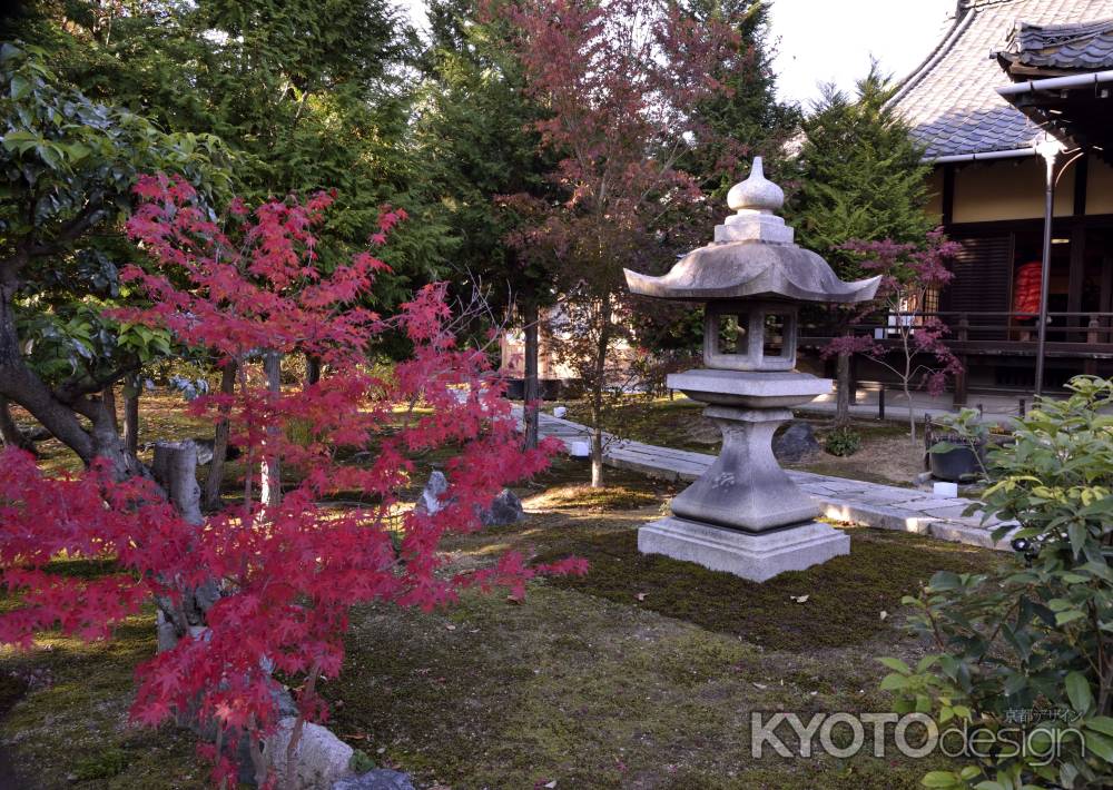 勝林寺・紅葉２０１３（１）