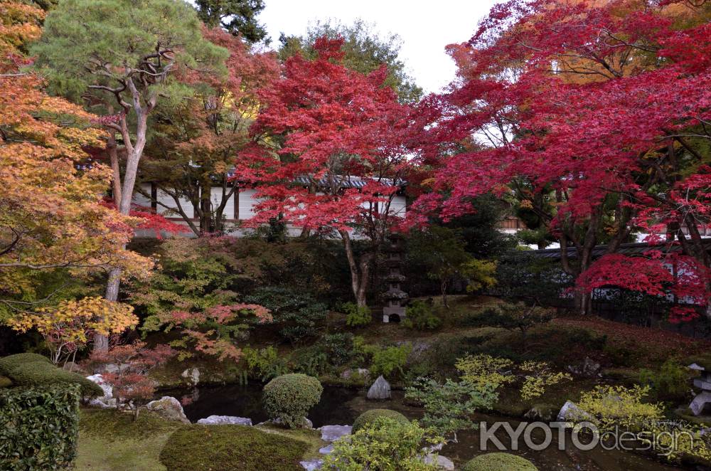 泉涌寺・紅葉２０１３（１）