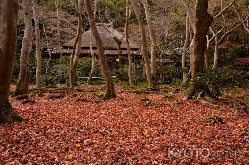 敷きモミジ・祇王寺