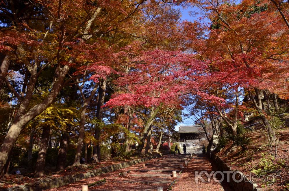 毘沙門堂・参道