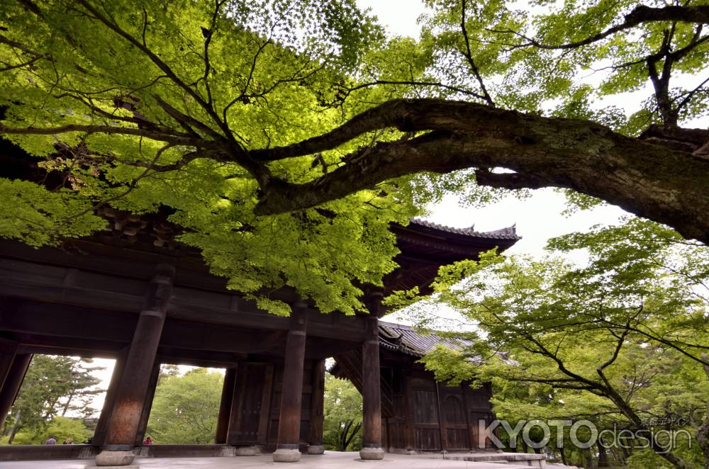 南禅寺・山門