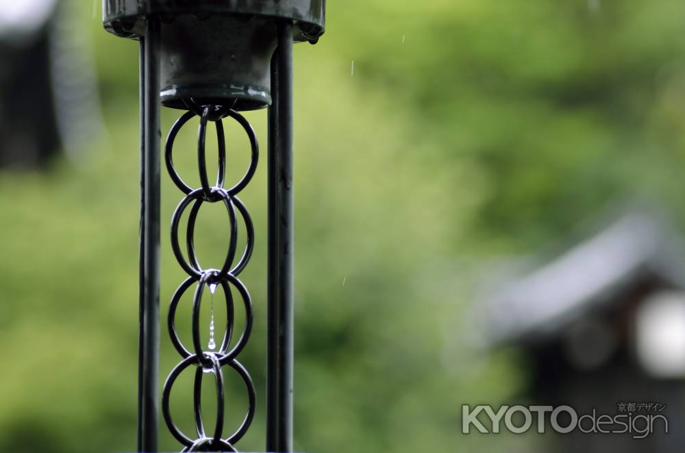 大雲院・雨滴