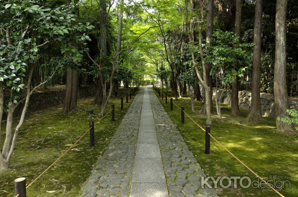 鹿王院・アプローチ