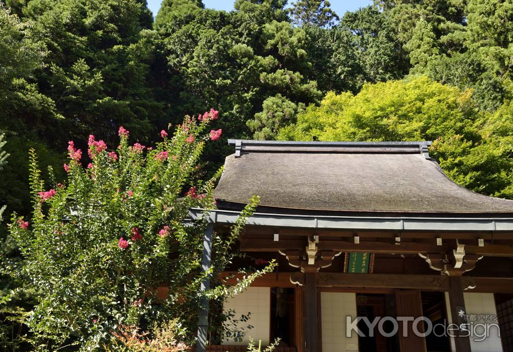 そろそろ終わりですね・・・百日紅