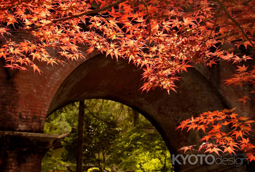 もう紅葉してます（9月27日）