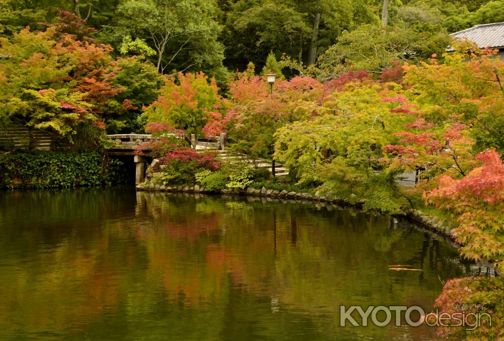 ほのかに紅葉