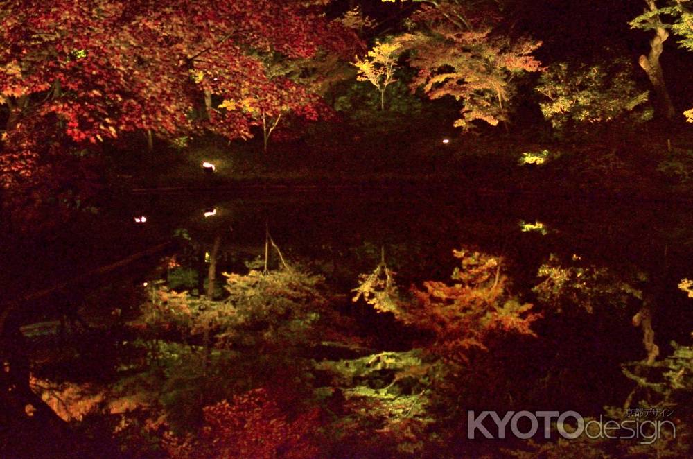 臥龍池への写り込み