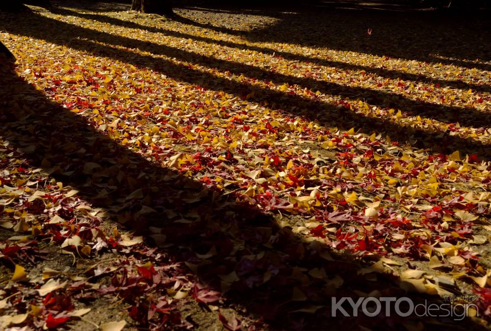 影・敷き紅葉