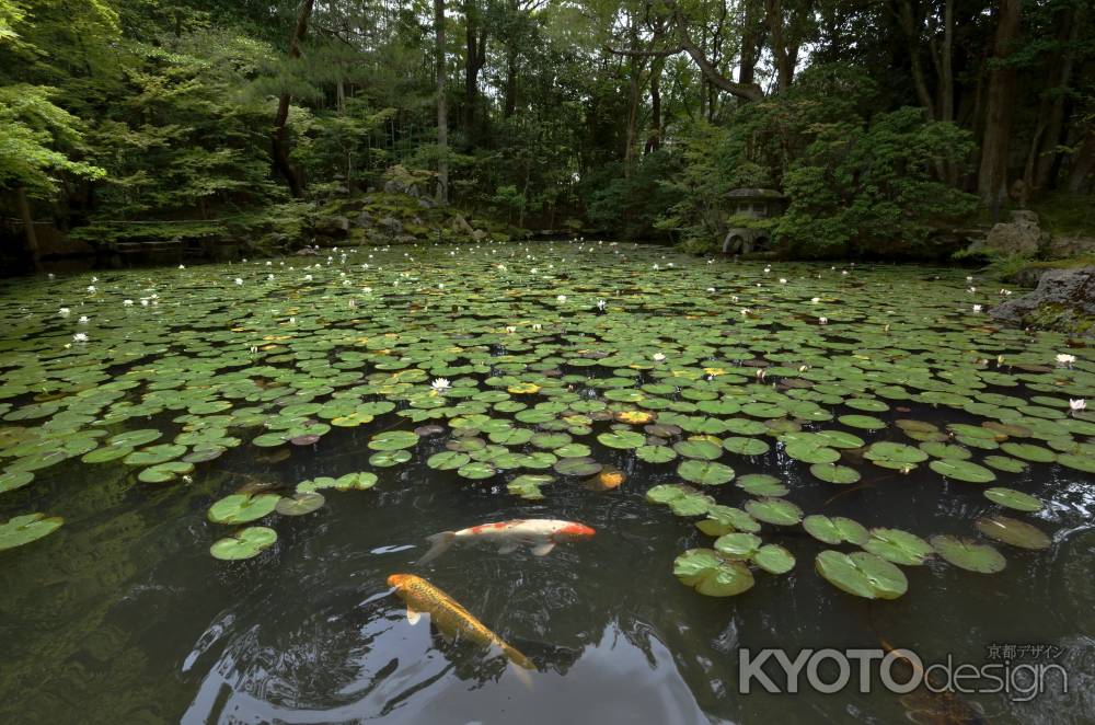 静と動