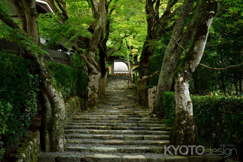 静寂な参道