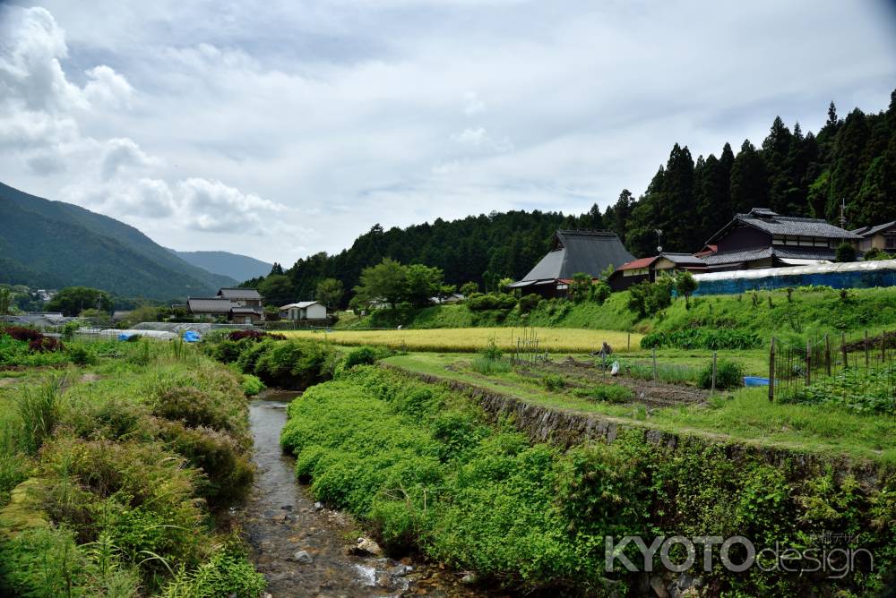 もうすぐ、秋の大原