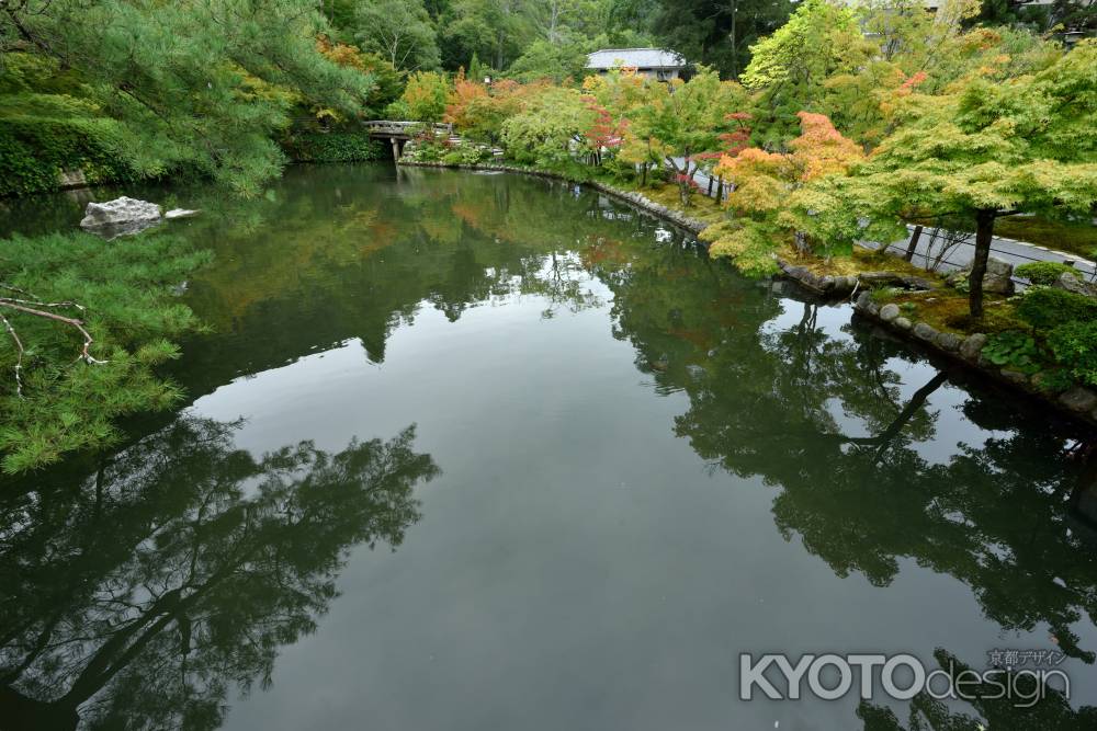 夏の終わりの放生池