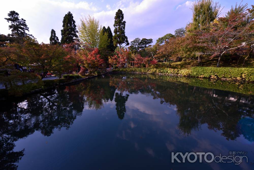 こちらも紅葉が始まりました