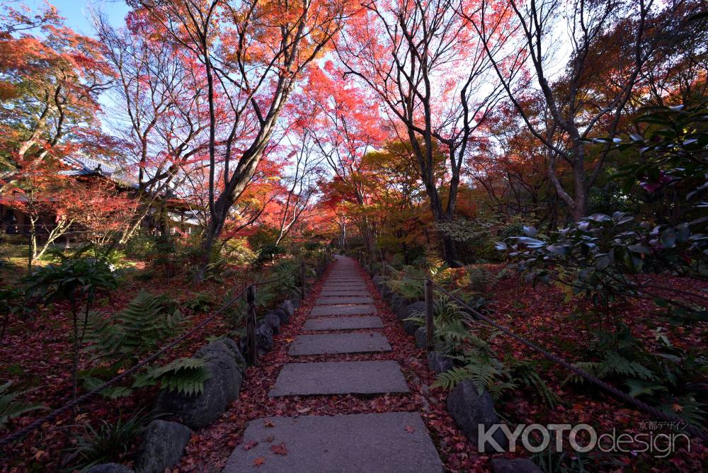 紅葉の石畳