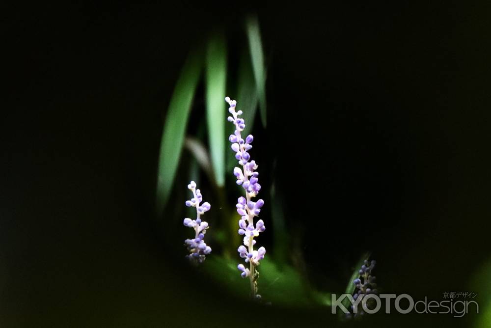 三日月窓から