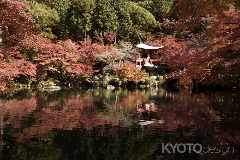 醍醐の紅葉