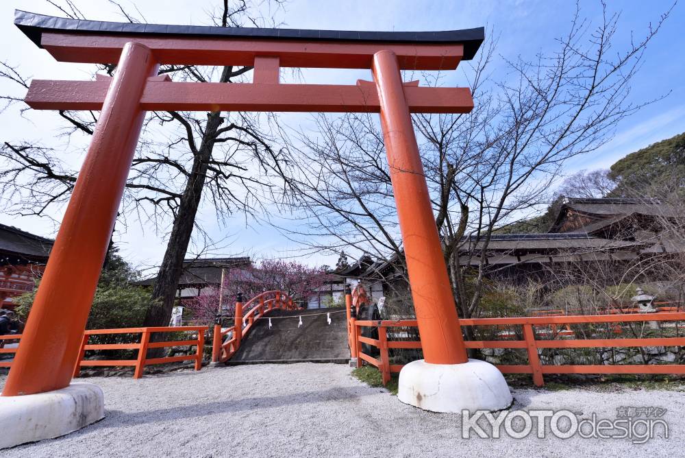 鳥居越しに「光琳の梅」