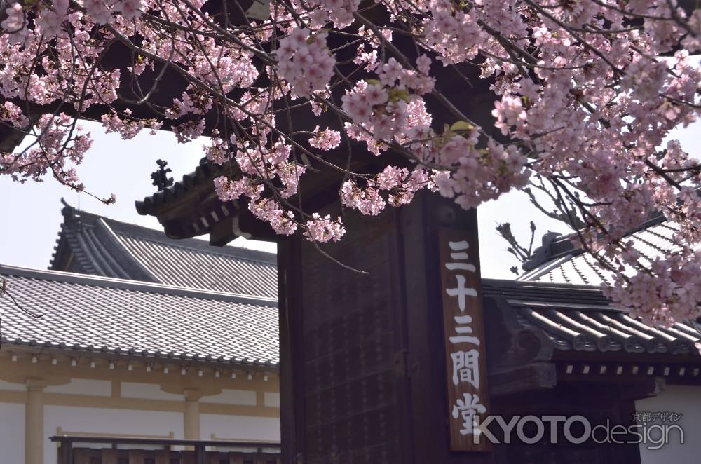 門にかかる河津桜