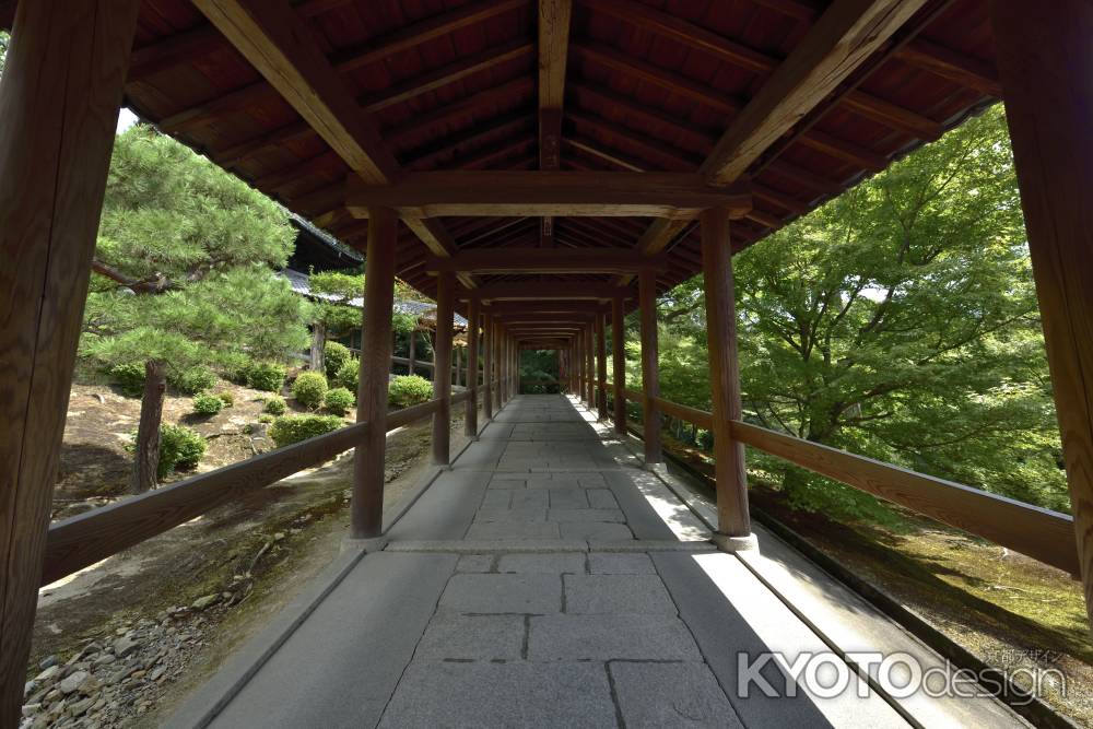 東福寺・廊下