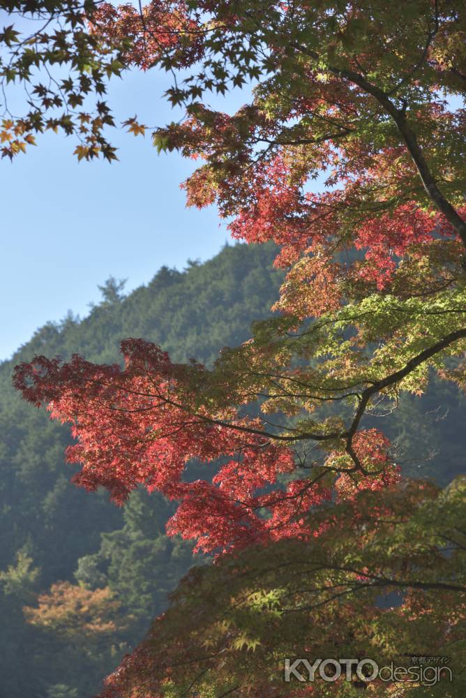 善峯寺（２）