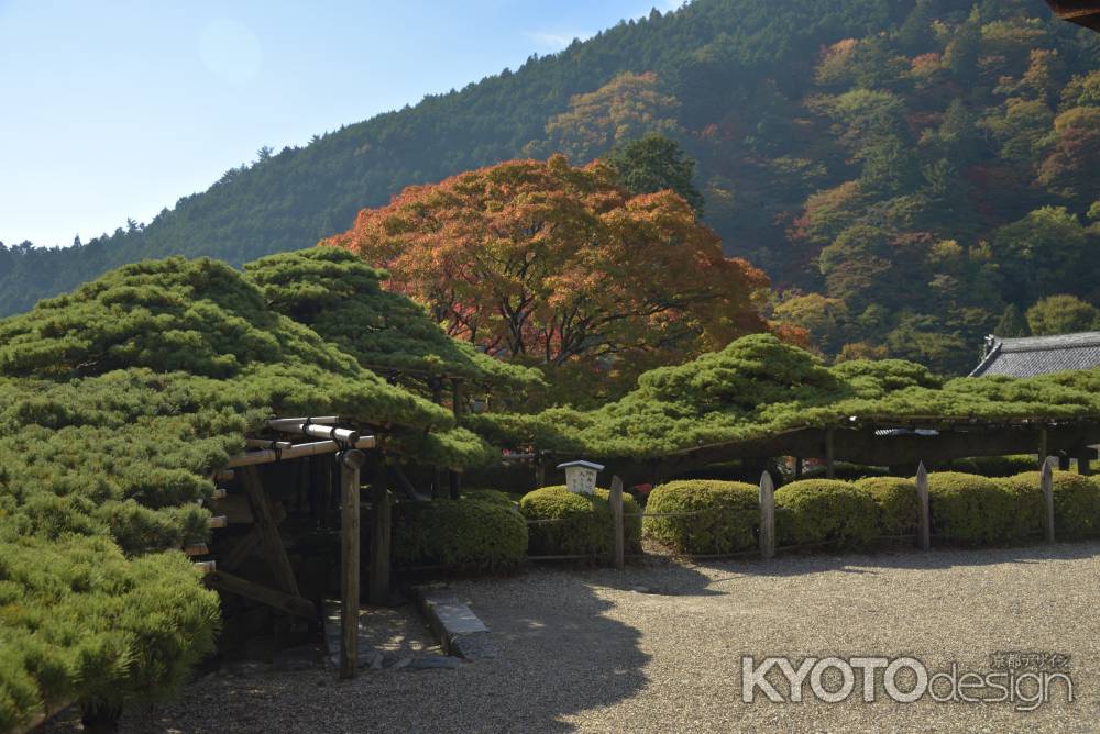 善峯寺（７）