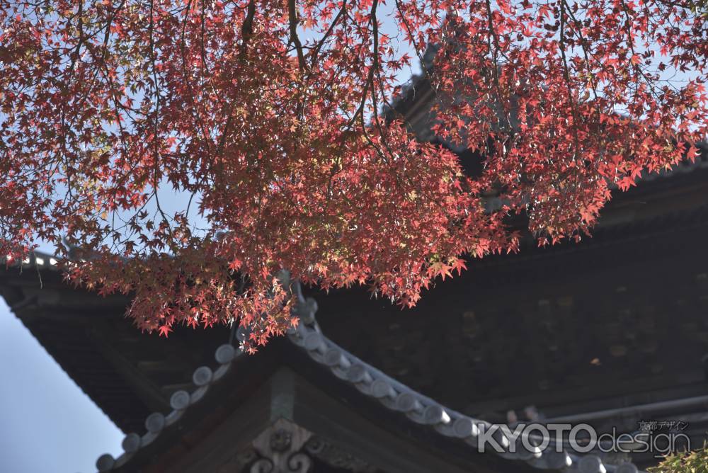 山門にかかる紅葉