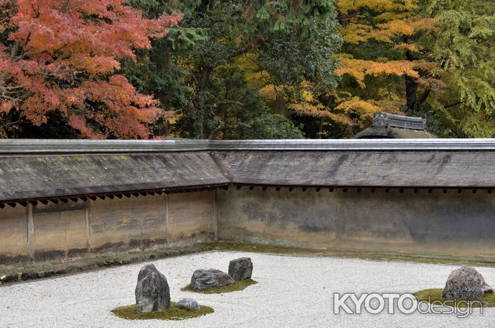 龍安寺・紅葉２０１７（２）