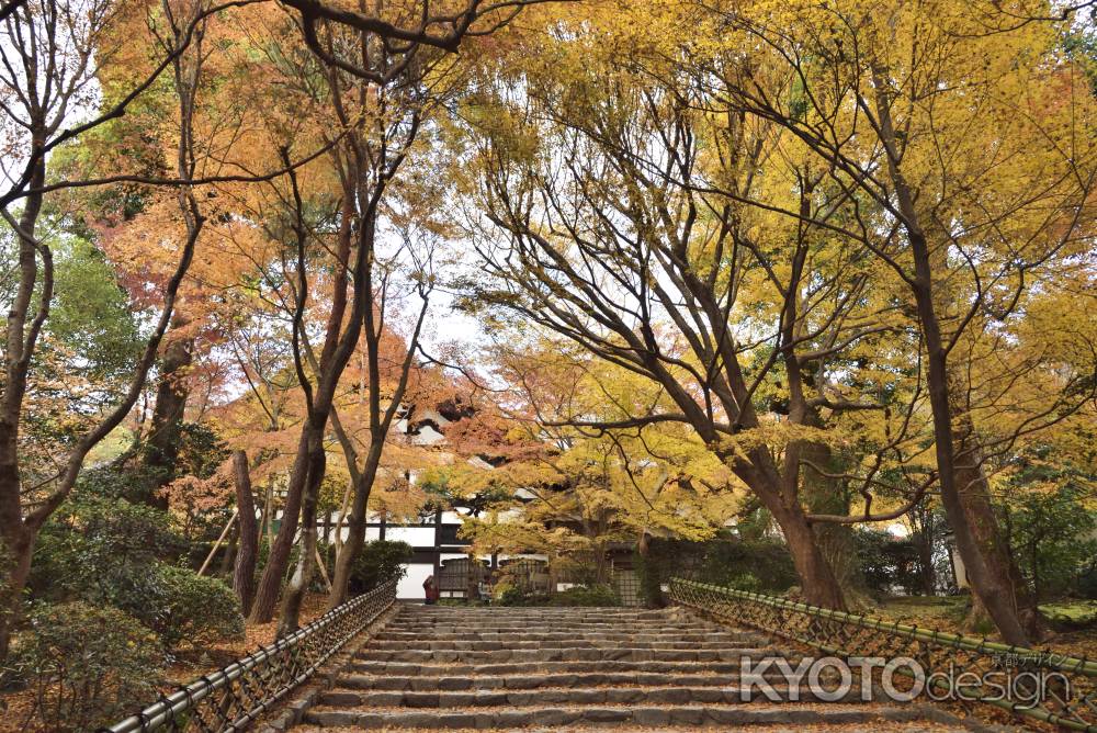 龍安寺・紅葉２０１７（１０）