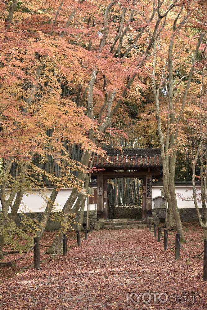 地蔵院・紅葉２０１７（１）