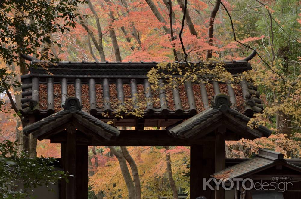 地蔵院・紅葉２０１７（２）