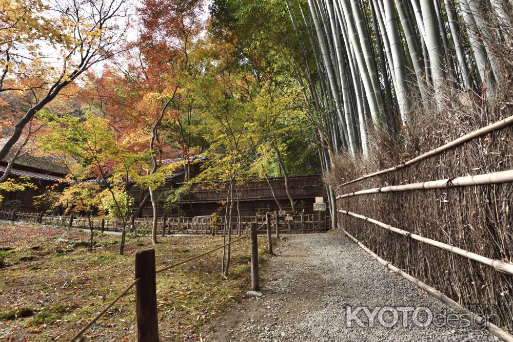 祇王寺・紅葉２０１７（６）