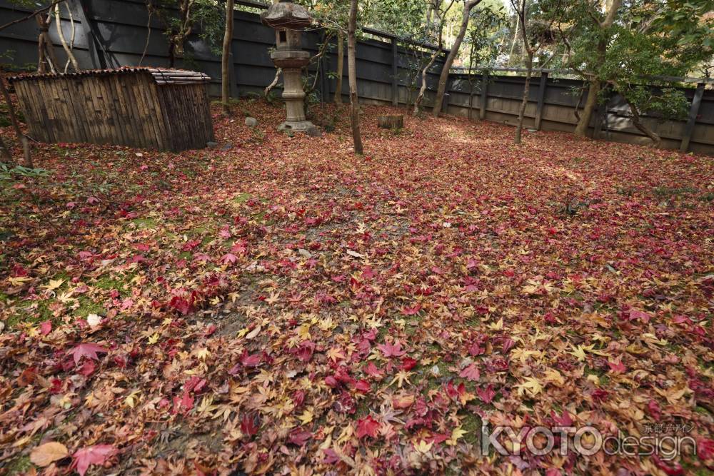 祇王寺・紅葉２０１７（９）