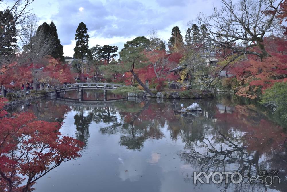 永観堂・紅葉２０１７（１）