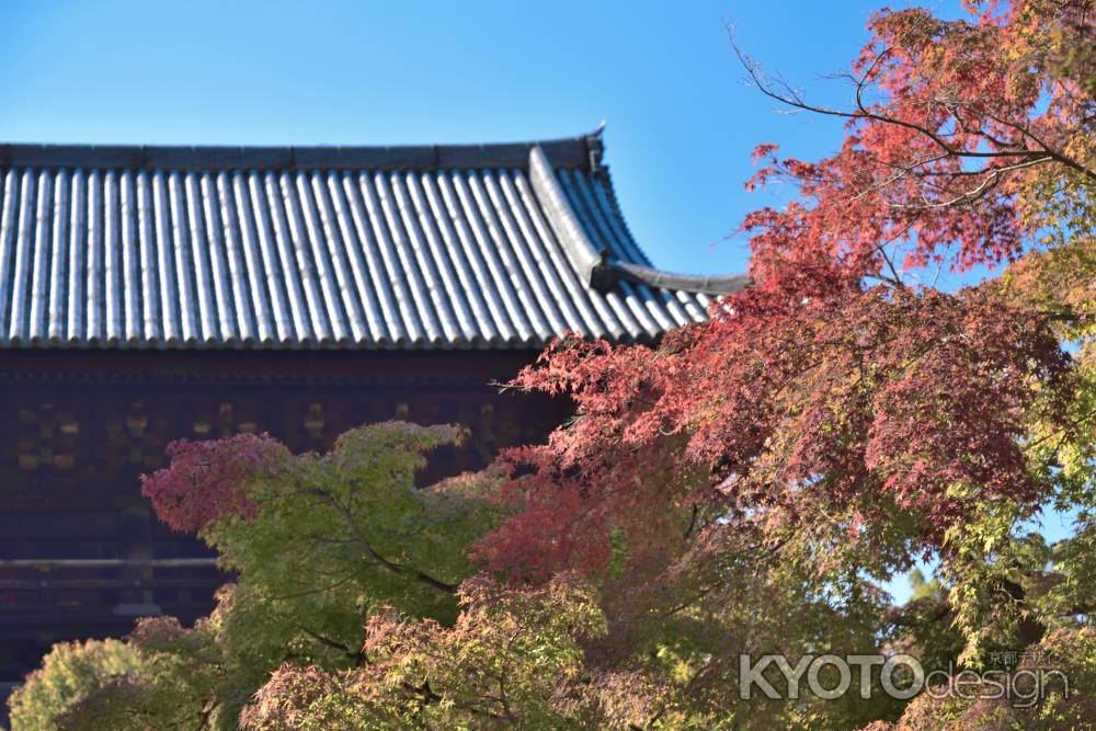 南禅寺・紅葉２０１７（１）