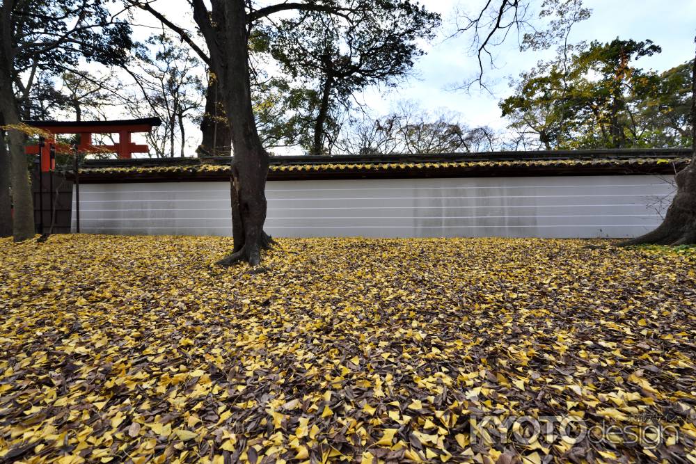 下鴨神社糺の森（４）