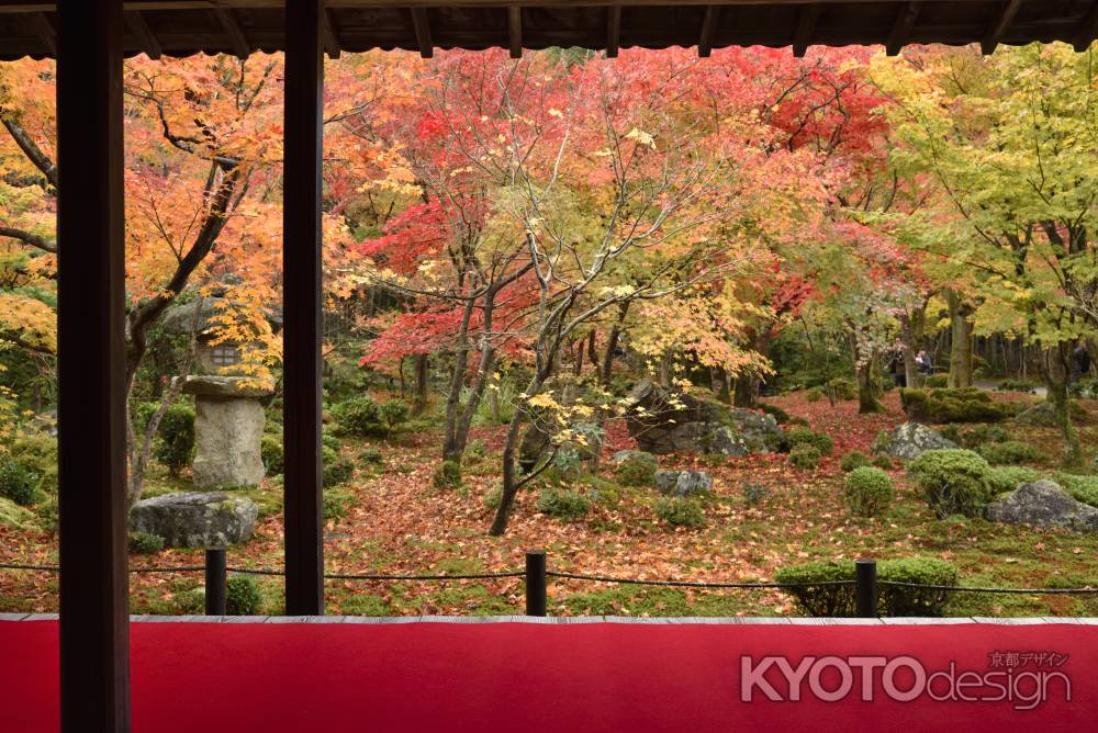 圓光寺２０１７（１）