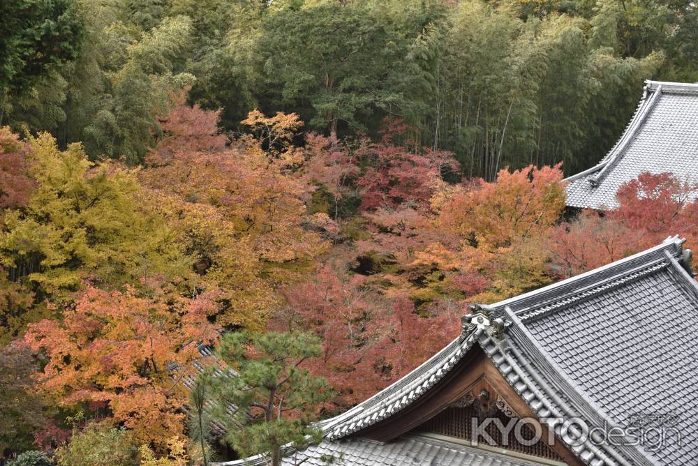 圓光寺２０１７（８）