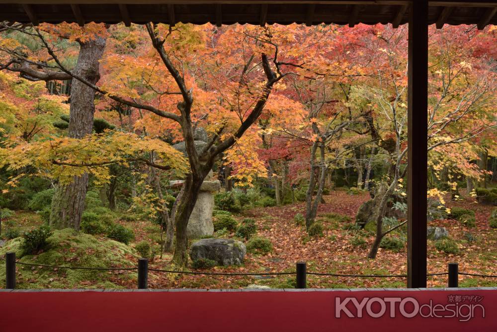 圓光寺２０１７（９）