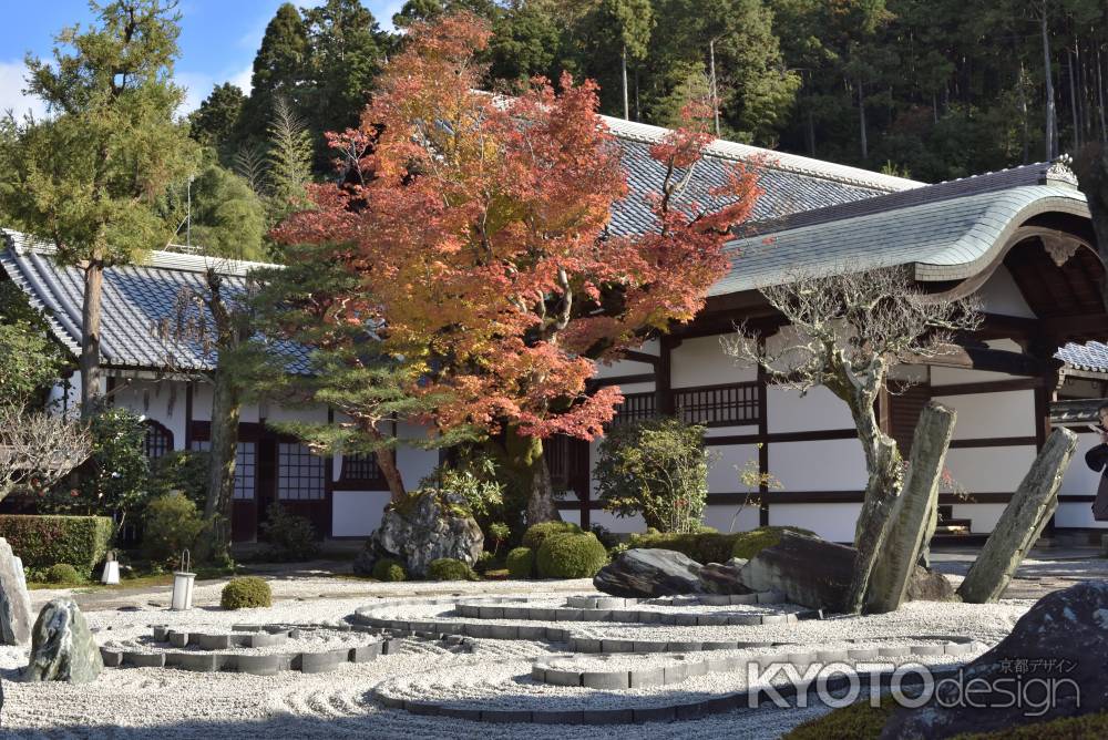 圓光寺２０１７（１０）