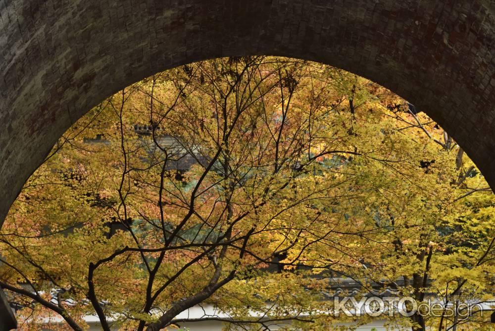 南禅寺・紅葉２０１７（５）