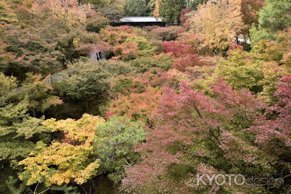 東福寺・紅葉２０１７（６）