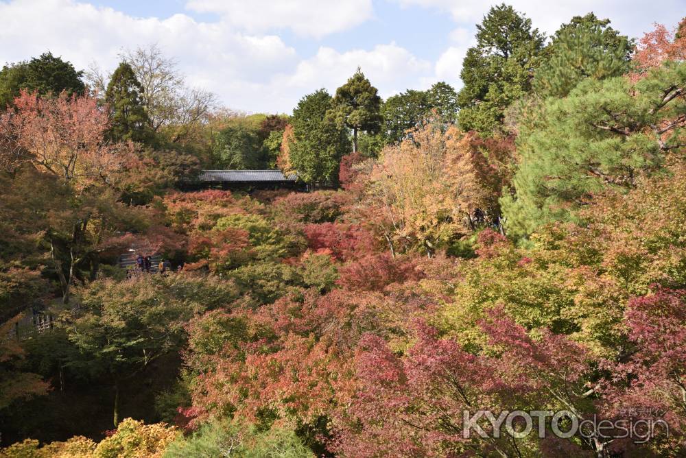 東福寺・紅葉２０１７（８）