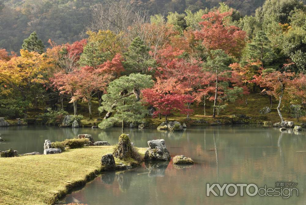 天龍寺・紅葉２０１７（１２）