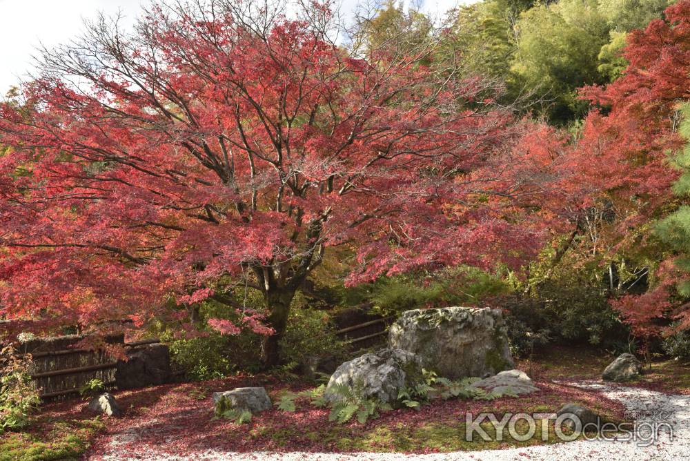 直指庵・紅葉２０１７（１３）