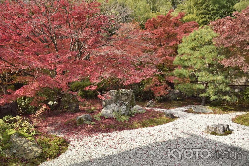 直指庵・紅葉２０１７（１４）