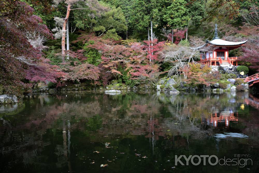 醍醐寺・紅葉２０１７（２）