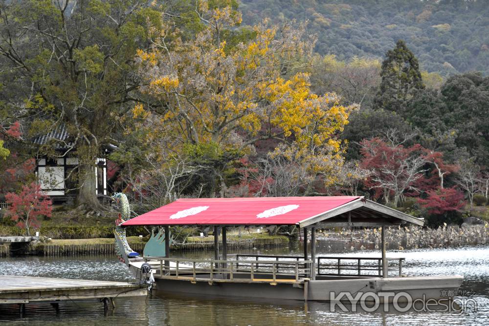 大覚寺・紅葉２０１７（１）