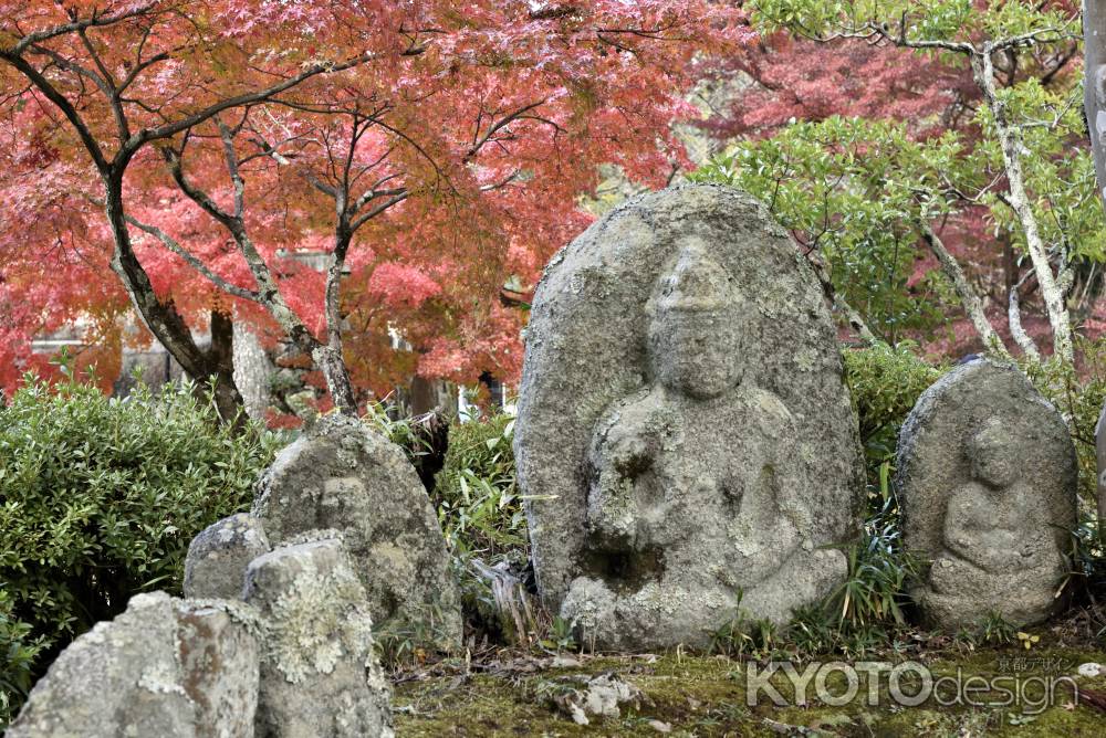 大覚寺・紅葉２０１７（３）