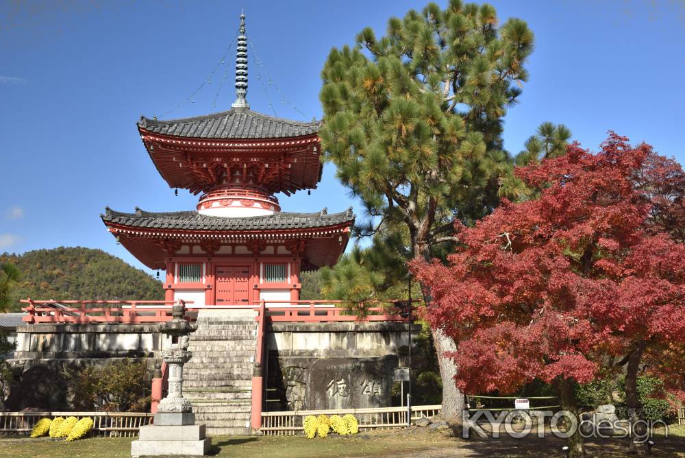 大覚寺・紅葉２０１７（６）